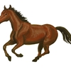 【追い切り注目馬】【阪神JF】他　2021/12/12(日) 阪神競馬　トップは、牝馬にはまだタイム差つけられたことのないあの馬