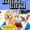 MINDLANDとは？？？