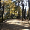 羽根木公園〜豪徳寺