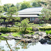 白鳥庭園～庭園お散歩しながらお花見も