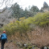 晩冬の三辻山遊山　杣の道