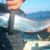 夏は太刀魚！博多湾でタチウオジギング！