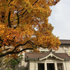 ２０１６／１１　東京国立博物館