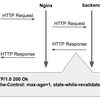 Nginxがstale-while-revalidateに対応した