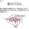 筋スパズムはロコモ・フレイルで多い