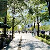 2024年9月11日（水）　いまだ真夏、夜は縄のれんの奥へ