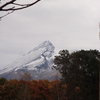 紅葉と初雪