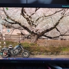 初めてのふるさと納税。