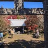 2024.11.12　紅葉の雲仙岳
