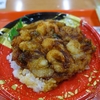 海老・いか・帆立の海鮮かき揚げ丼