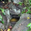 実篤公園の下池（東京都調布）