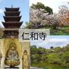 【京都】仁和寺【全体案内】お花もお庭も華やかなお寺／仏像好きは観音堂公開時がおすすめ