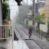 54年ぶりの雪・・・にもめげず、出勤敢行