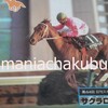 サラブレッドカード95 048 第44回日刊スポーツ賞 金杯 サクラローレル