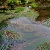 なつかしの水めぐり旅④・本宮の泉（2）（鳥取県米子市淀江町）