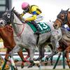 競馬初心者必見☆馬券予想🔥〜フェアリーS〜1番人気が勝てないレース！？