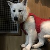 自粛要請でたよ