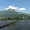 湯布院の農、始まっています