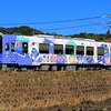 天竜浜名湖鉄道　TH2114"うなぴっぴごー！"新塗装