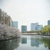 桜の頃の大阪城