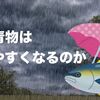 青物は雨の日だと釣れやすいのか、釣れにくいのか