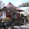 お墓参り