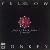 THE YELLOW MONKEYのDVDを総まくる！その２&quot;jaguar hard pain Live’94&quot;