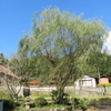 東禅寺文書１