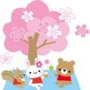 日本人の心、桜、さくら、サクラ。