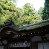 大神神社写真館(１１/５)