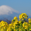 2020年1月13日　吾妻山（日帰り）