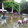 猿田彦神社　おみた