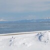 ボランティア活動してきました