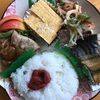 6/4    今日の昼食