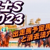 【富士ステークス2023】出走馬予定馬データ分析と消去法予想