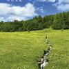 人生の第二ステージー『オーストリア滞在記』(中谷美紀)
