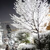 【オールドレンズ】東京初雪をHEXANON 57mm F1.4コニカARマウント6枚玉でスナップ【α7C】