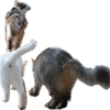 みんニャ