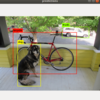 Yolov3をUbuntuで使う