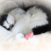悩ましい