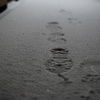 まだ・降り続いています・・