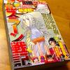 とうとう始まってしまった荒川版骨肉の争い「アルスラーン戦記」／荒川弘／田中芳樹／講談社／2013年／漫画／感想