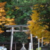 秋の鯖街道(若狭街道)をゆく　葛川坊村町地主神社