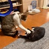 思い出作り。