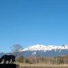 雪景色の御嶽山(御岳山)・2021年4月15日②