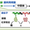 【バイオエコノミー】バイオコンビナート構想、微生物が生み出す未来の資源