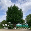 10日連続
