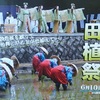伏見稲荷大社の田植祭2020。早乙女や御田舞を観賞。