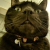 ていうかあけおめ
