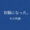 盲腸になった。その所感